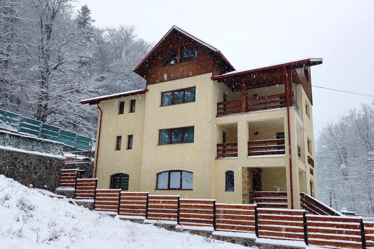 Hotel Casa Raisa Buşteni Exterior foto